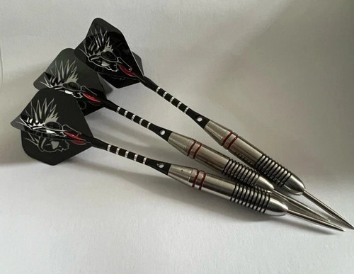 Professional darts set 22g - professional,