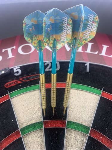 25g wayne mardle gold - gold, darts