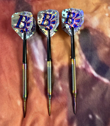 Raymond van barneveld 19g - raymond,