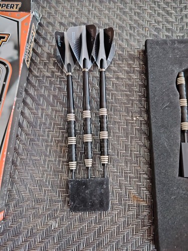Darts danny noppert 24g - darts,