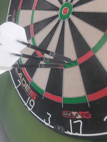 Winmau blackout darts 24g