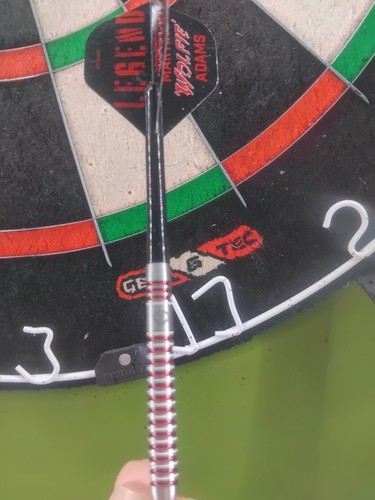 Datadart martin adams darts - martin,